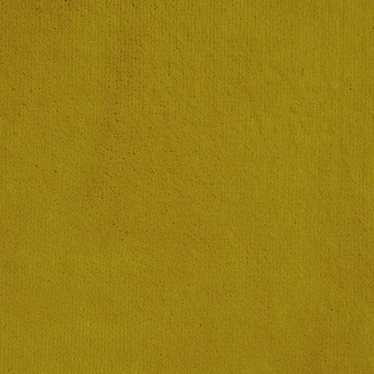 iLiv Hampton Sunshine