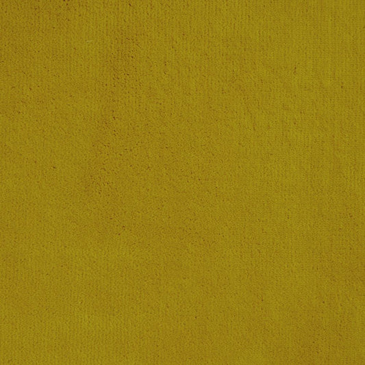 iLiv Hampton Sunshine