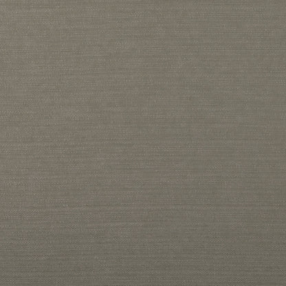 Ashley Wilde Harper Porcini