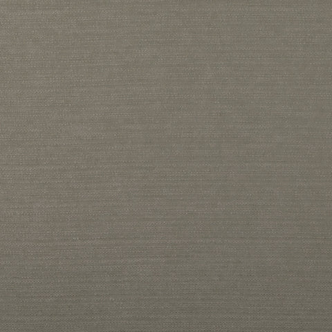 Ashley Wilde Harper Porcini