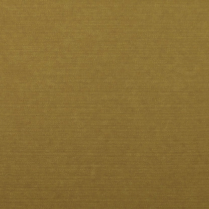 Ashley Wilde Harper Turmeric