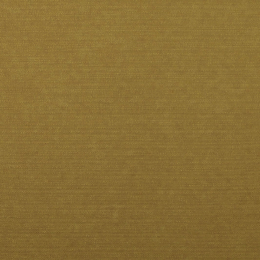 Ashley Wilde Harper Turmeric