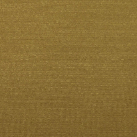 Ashley Wilde Harper Turmeric