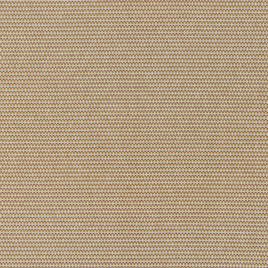 Ashley Wilde Juno Autumn