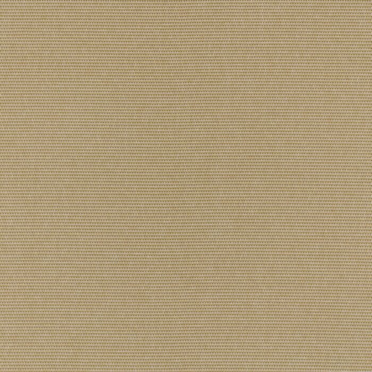 Ashley Wilde Juno Maize