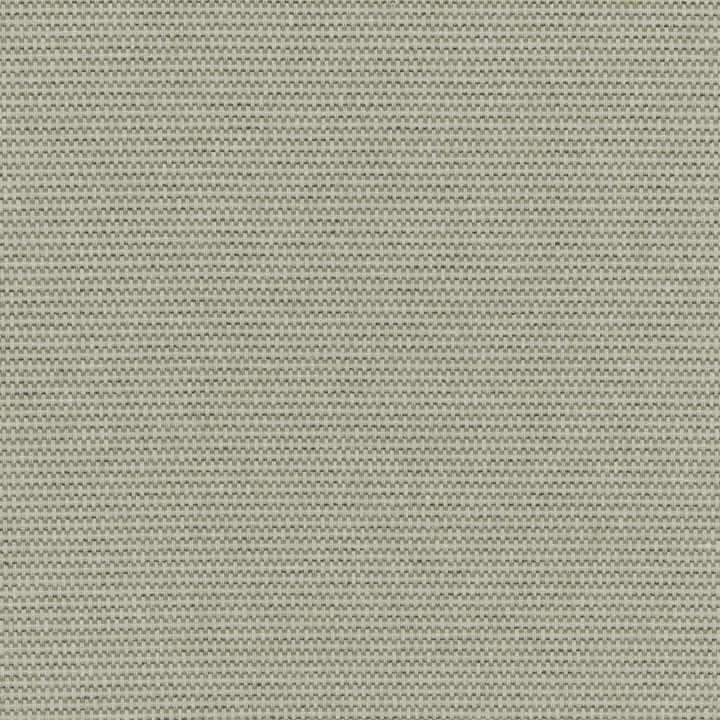 Ashley Wilde Juno Moss