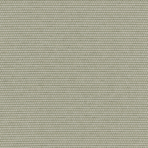 Ashley Wilde Juno Moss