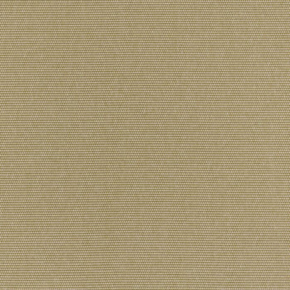 Ashley Wilde Juno Olive