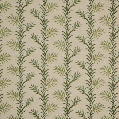 iLiv Kala Spruce