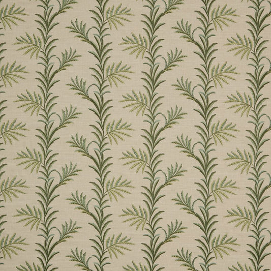 iLiv Kala Spruce