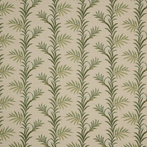 iLiv Kala Spruce