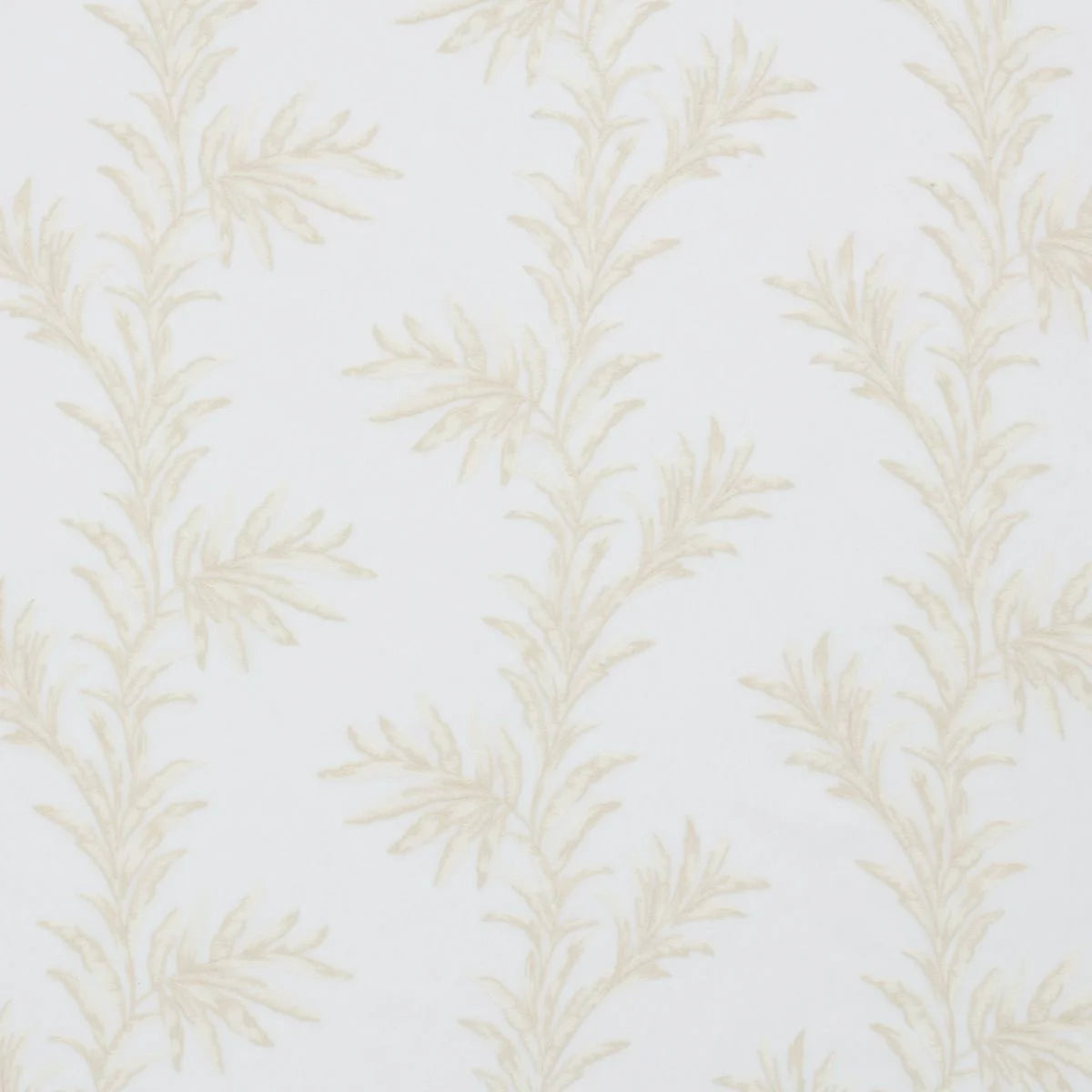 iLiv Kala Oyster Voile