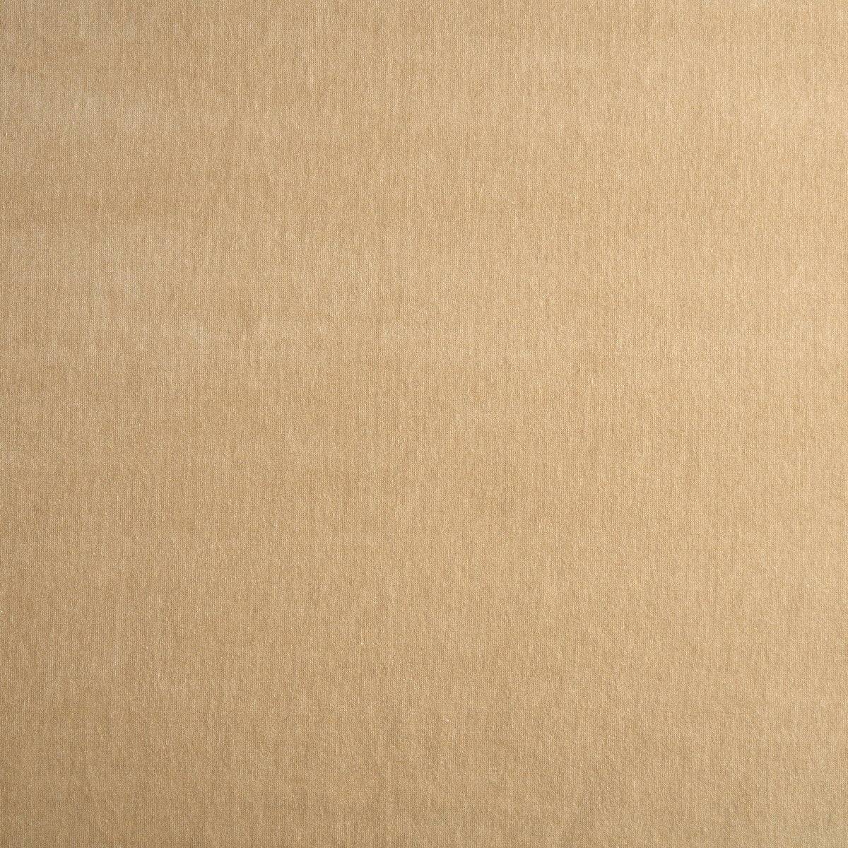 Kai Alba Jute