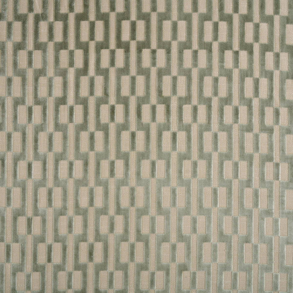 Kai Andie Eucalyptus