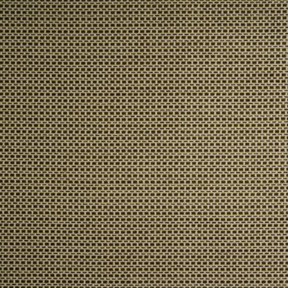 Kai Fia Olive