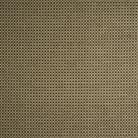 Kai Fia Olive