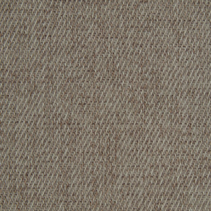 iLiv Kinloch Biscuit