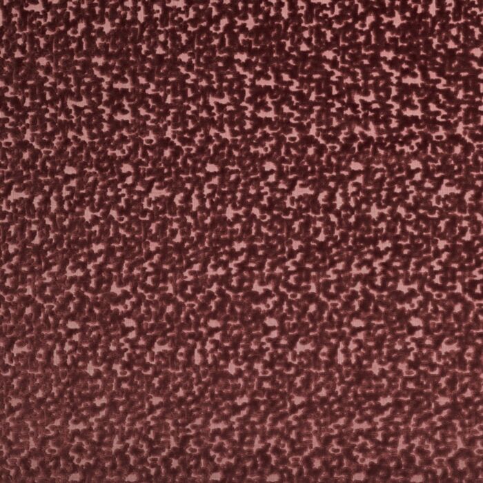 Kai Izzy Raspberry