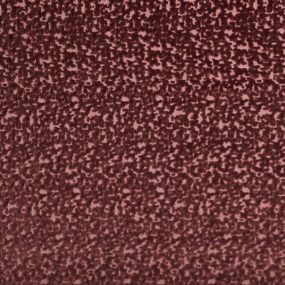 Kai Izzy Raspberry