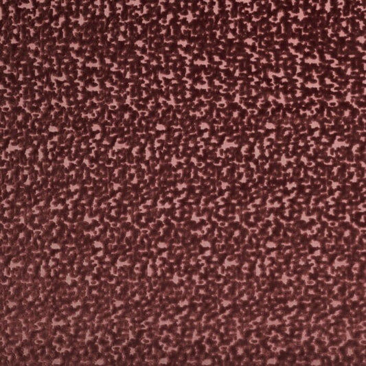 Kai Izzy Raspberry