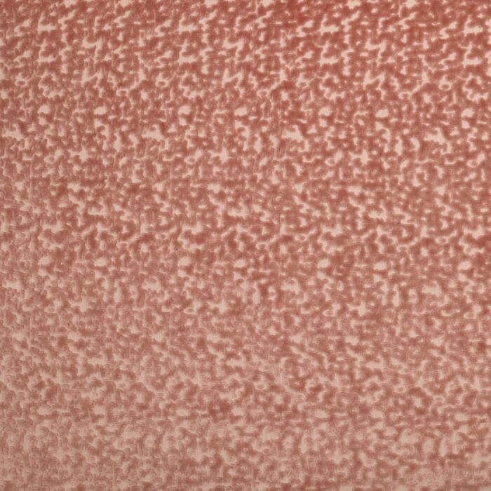 Kai Izzy Sorbet