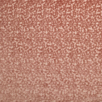 Kai Izzy Sorbet