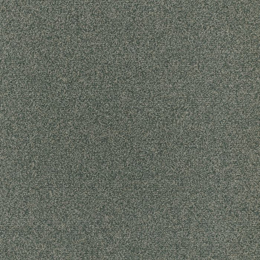 Kai Kokoro Spruce