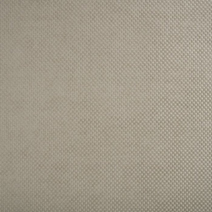 Kai Lori Taupe