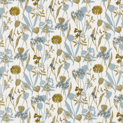 Kai Niwa Cornflower