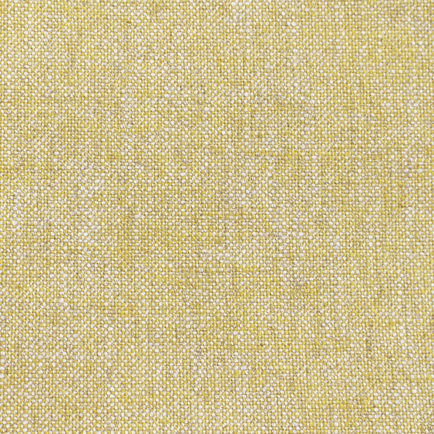 Kai Olenka Lemon