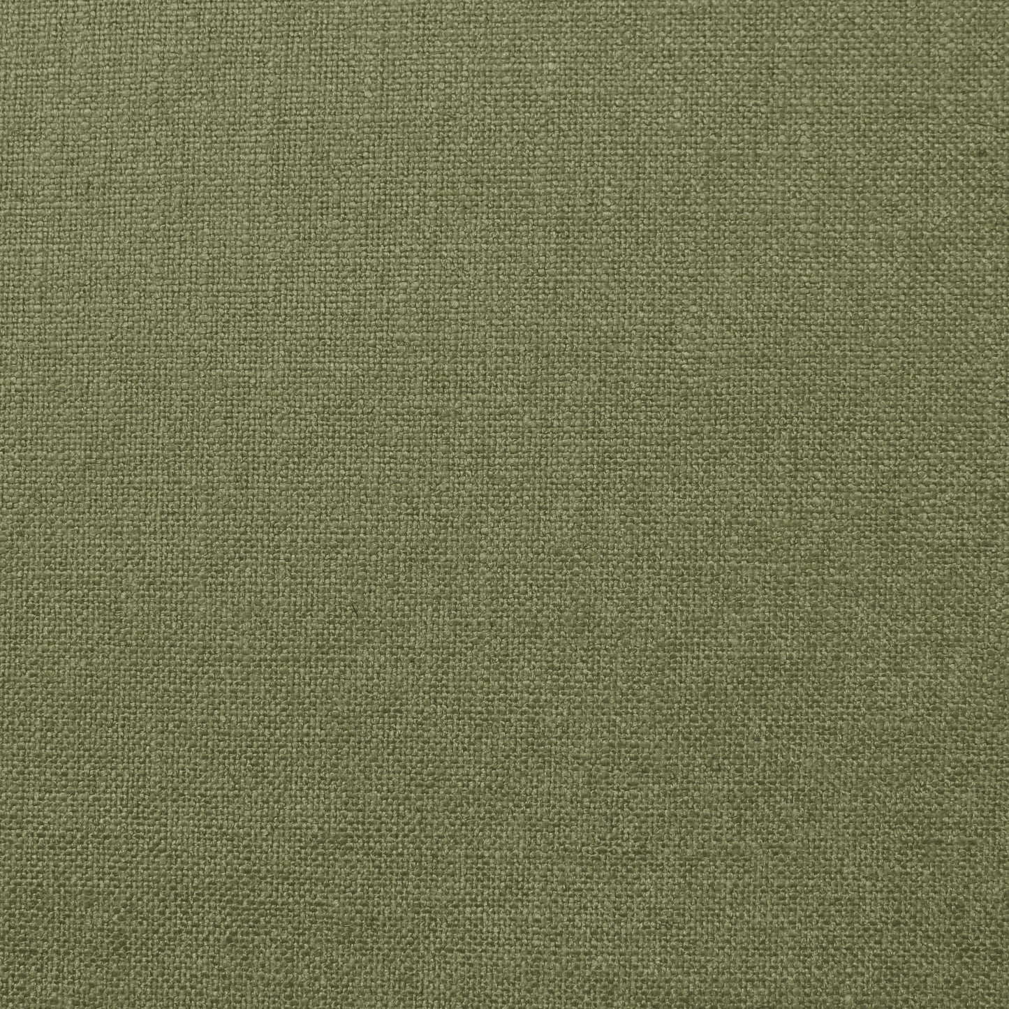 Kai Olenka Olive