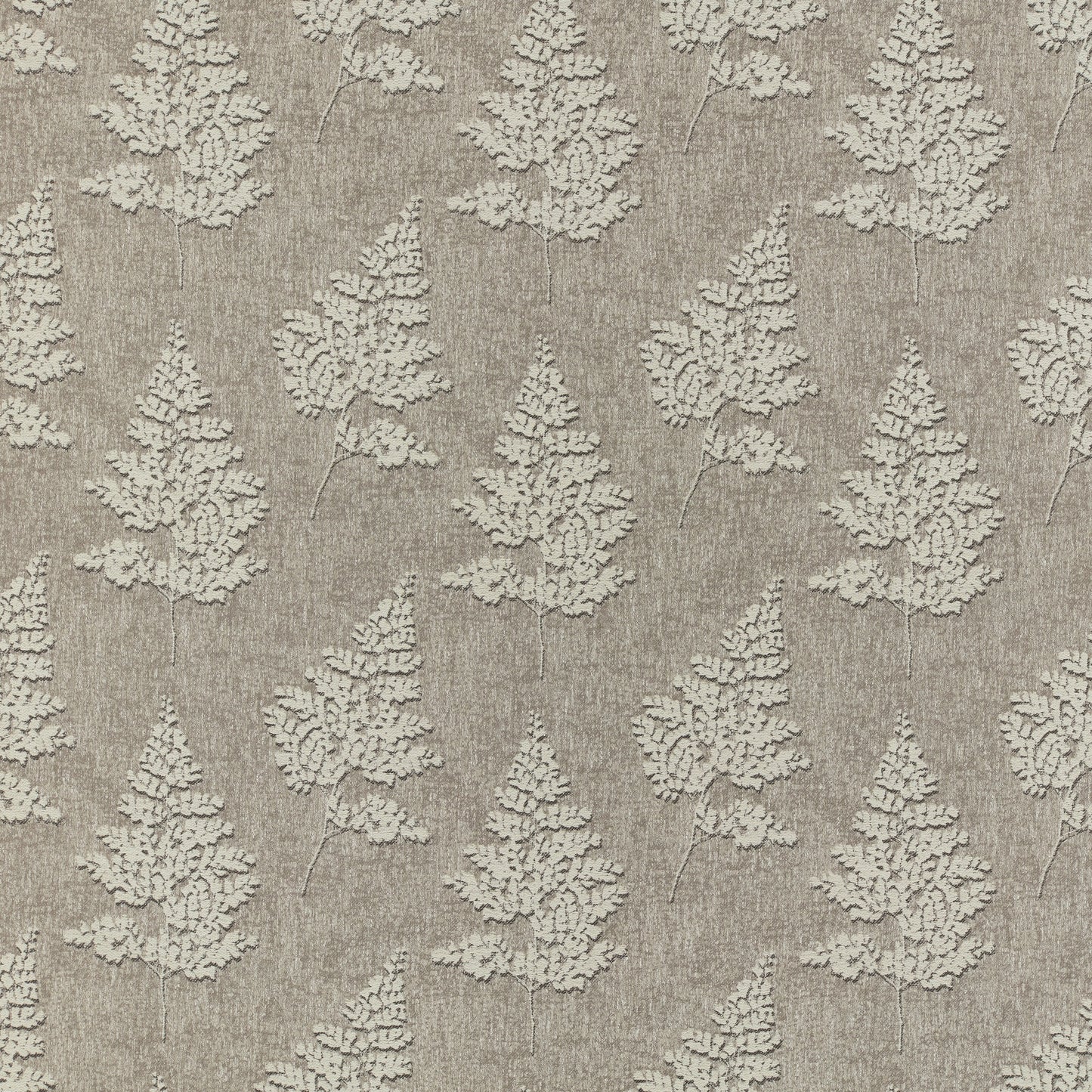 Kai Shida Pebble