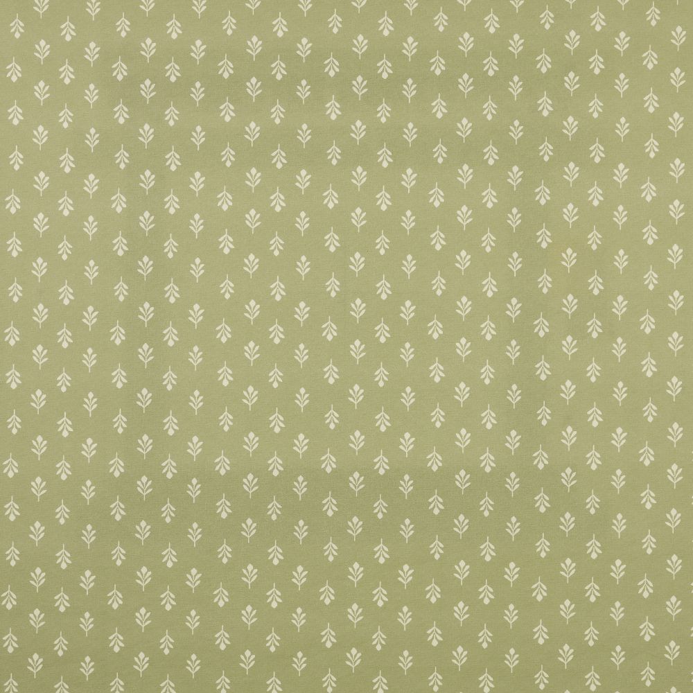 iLiv Little Bud Fennel