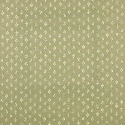 iLiv Little Bud Fennel