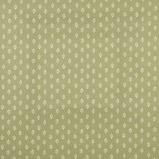 iLiv Little Bud Fennel