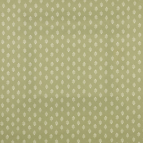 iLiv Little Bud Fennel