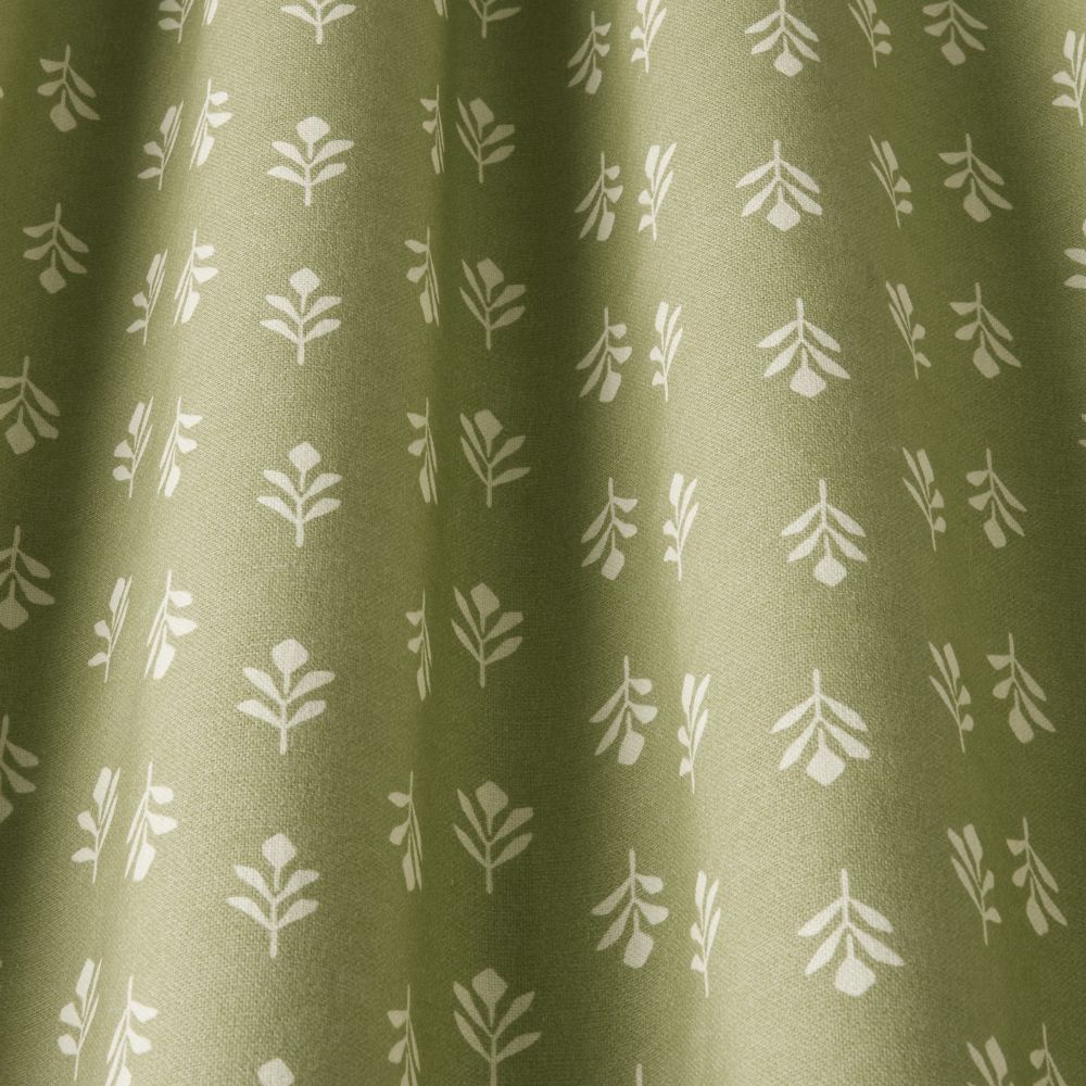 iLiv Little Bud Fennel