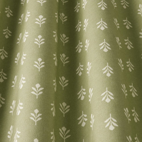 iLiv Little Bud Fennel