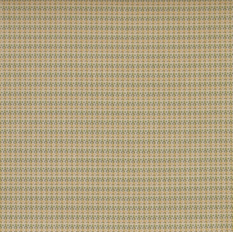 iLiv Livigno Citrine