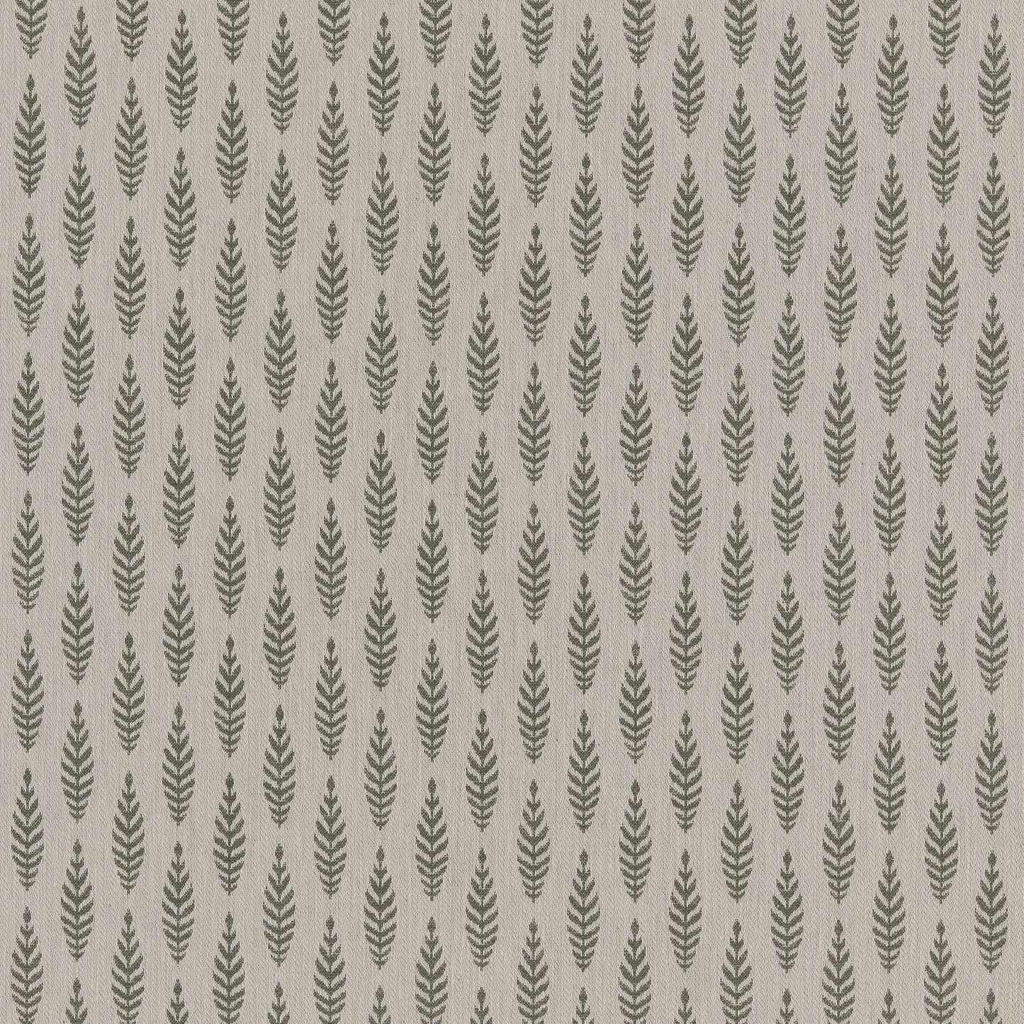 Ashley Wilde Lois Olive