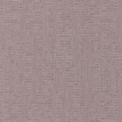 Ashley Wilde Luciene Rosewood