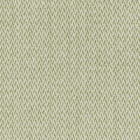 Ashley Wilde Mali Olive