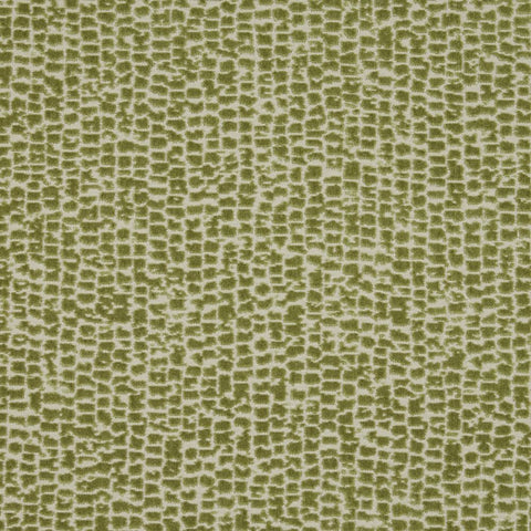 iLiv Mandal Olive