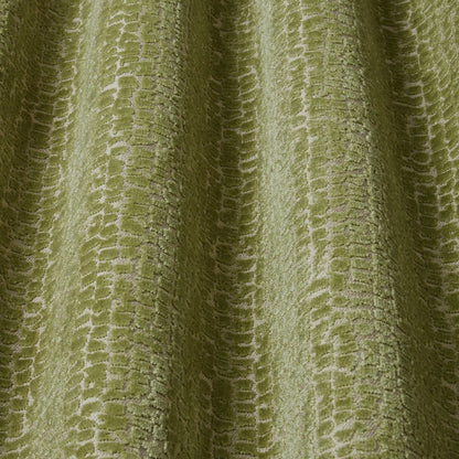 iLiv Mandal Olive