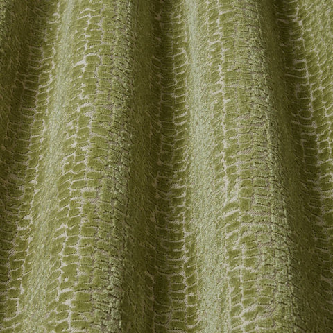 iLiv Mandal Olive
