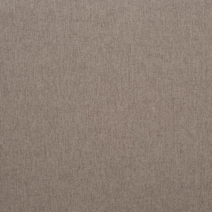 iLiv Melody Truffle