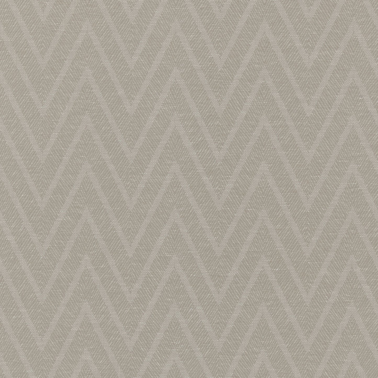 Ashley Wilde Miguel Driftwood