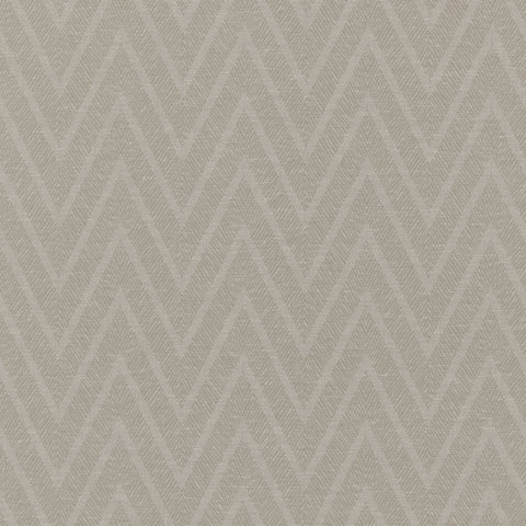 Ashley Wilde Miguel Driftwood