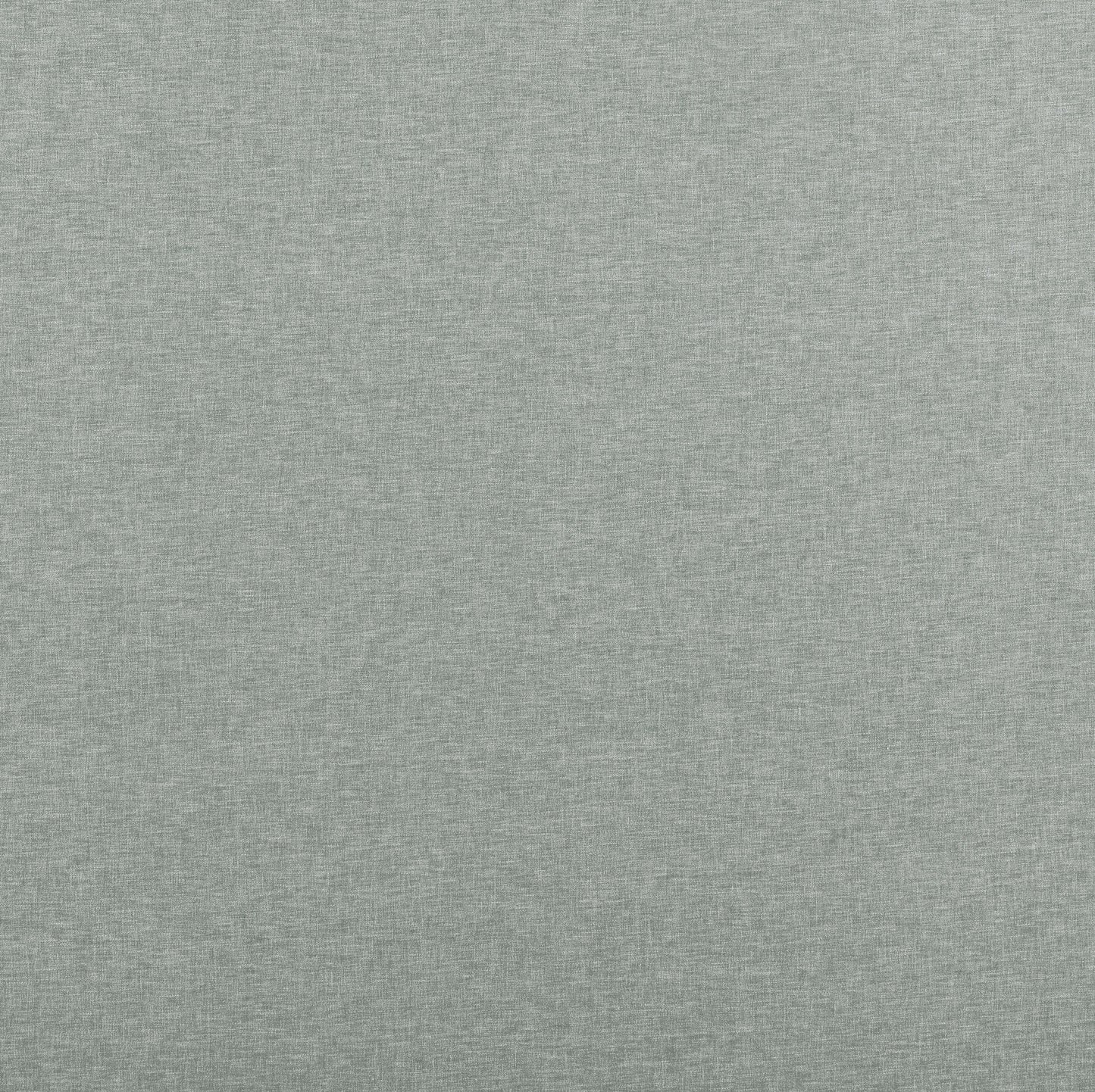 Ashley Wilde Norma Eucalyptus