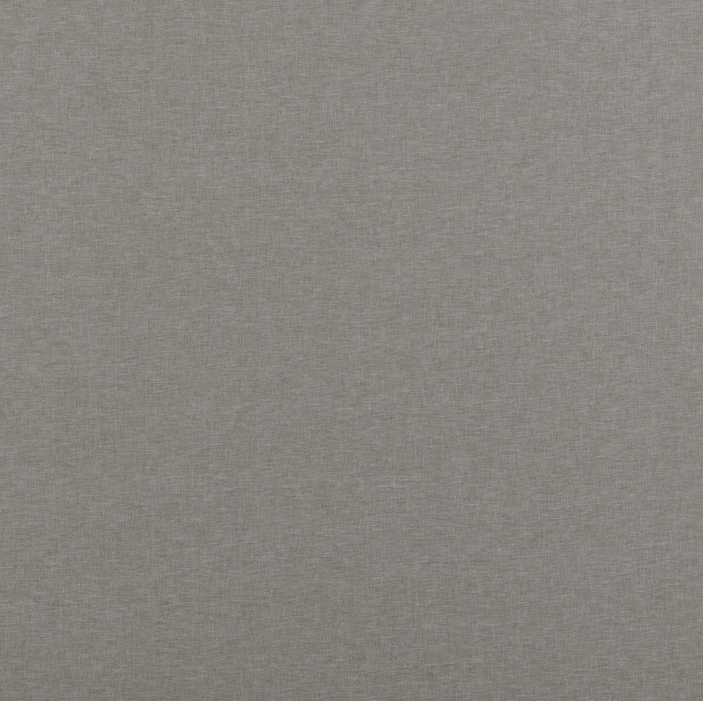 Ashley Wilde Norma Fawn